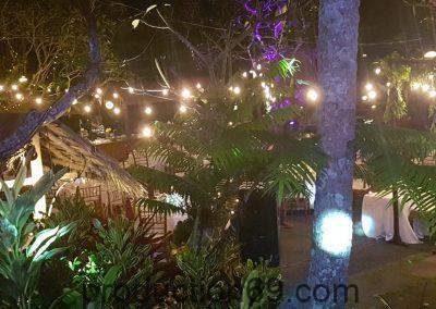 WhatsApp Image 2019-06-27 at 3.31.47 PM (2)