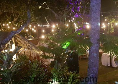 WhatsApp Image 2019-06-27 at 3.31.47 PM