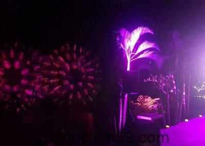 WhatsApp Image 2019-06-27 at 3.32.27 PM