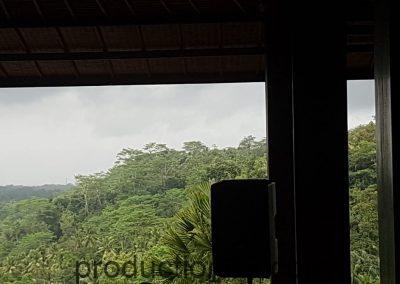 WhatsApp Image 2019-06-27 at 3.33.19 PM